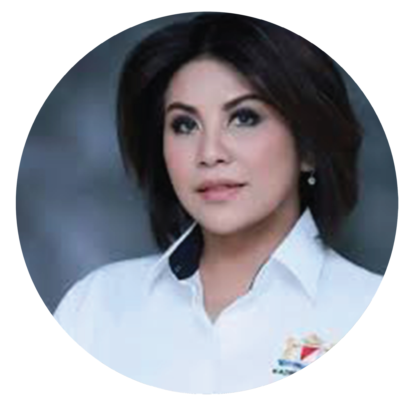 5. WAKIL KETUA UMUM KOORDINATOR BIDANG INFRASTRUKTUR DAN PEMBANGUNAN KEWILAYAHAN - CARMELITA HARTOTO
